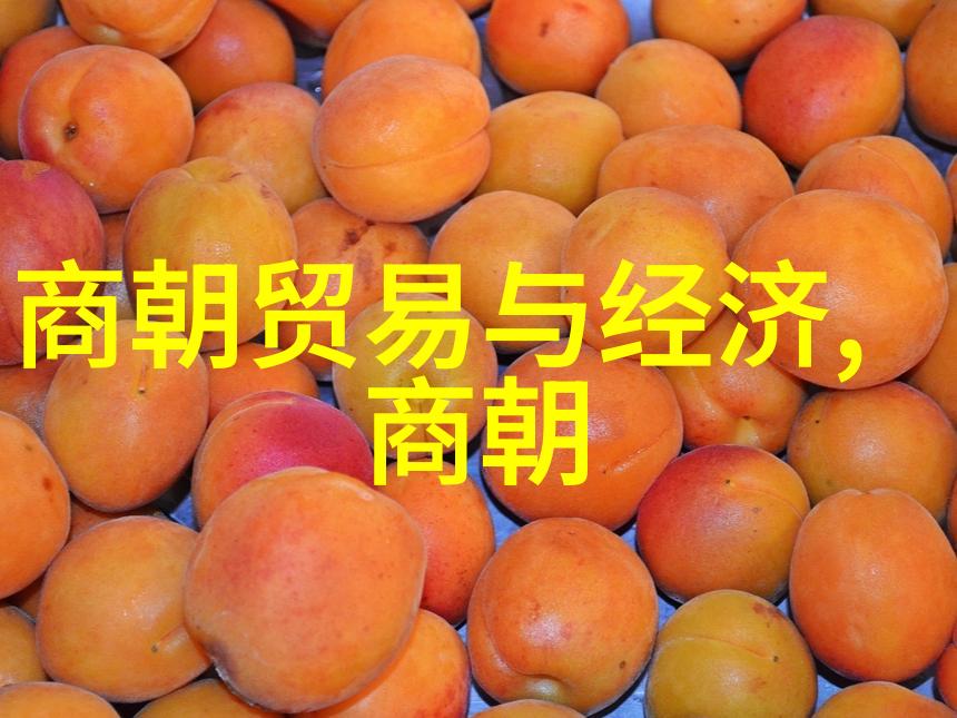 明英宗凭什么叫英宗你知道吗明英宗的英字背后有多少故事