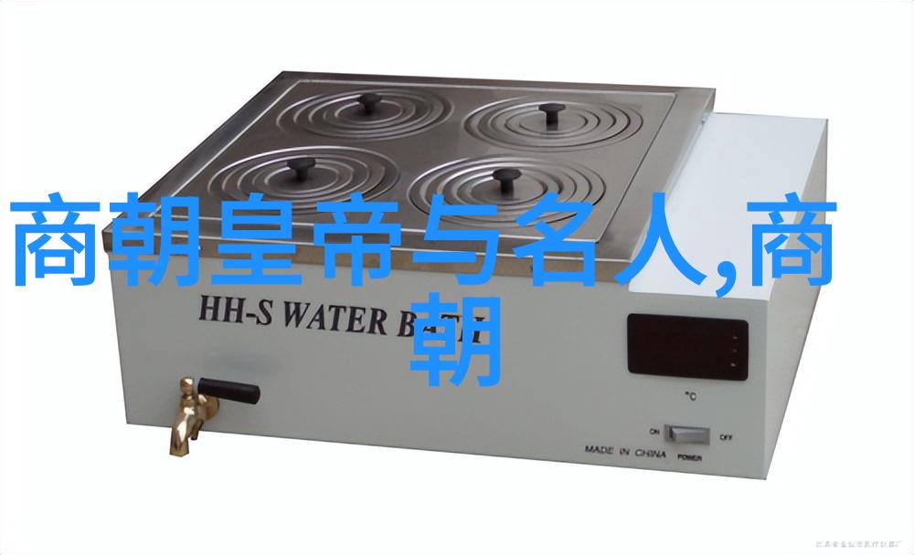 明朝时期历史 - 明代的辉煌与衰落从朱元璋到崇祯的兴衰变迁