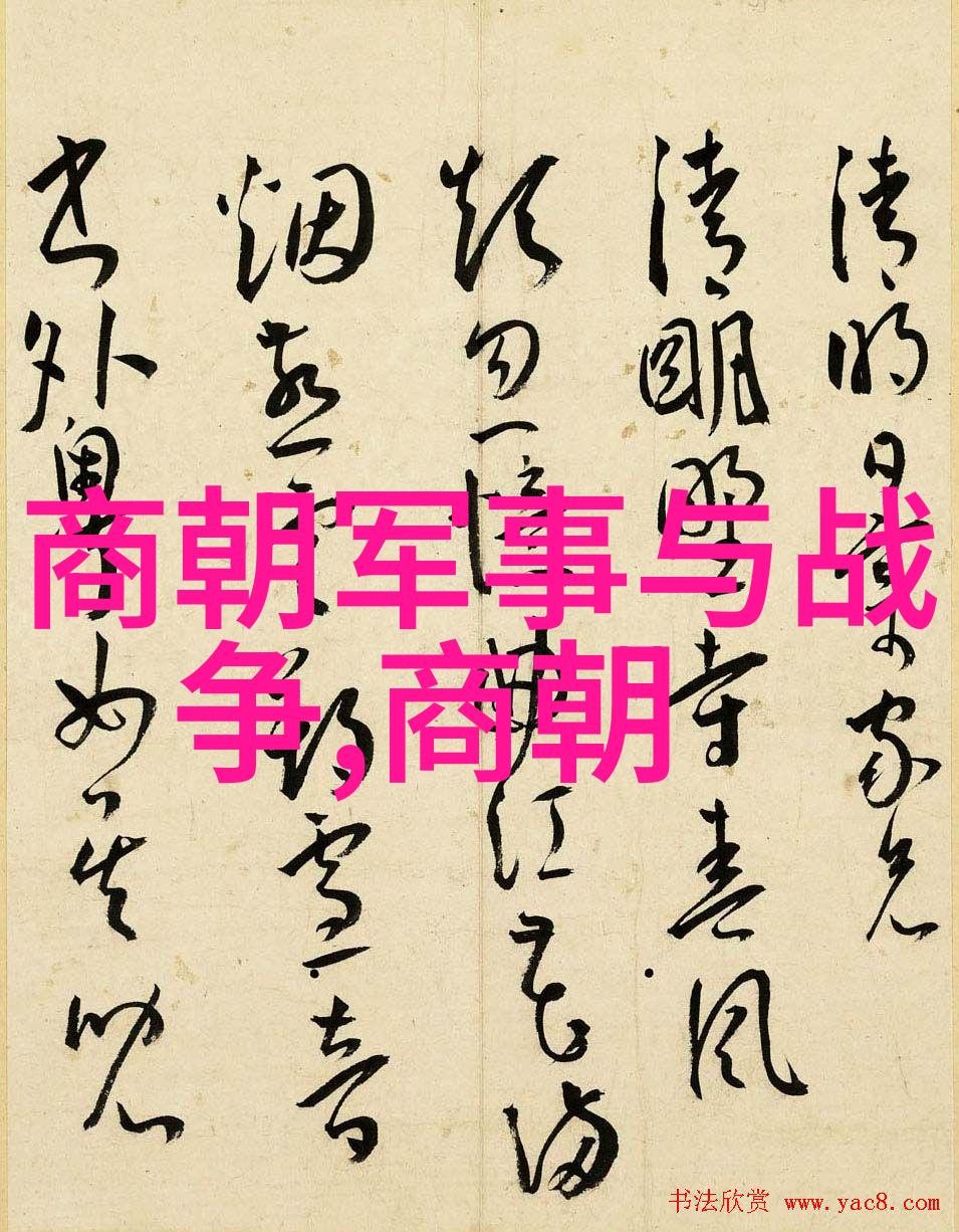 唐朝与隋朝的辉煌对比权力文化与军事实力考量