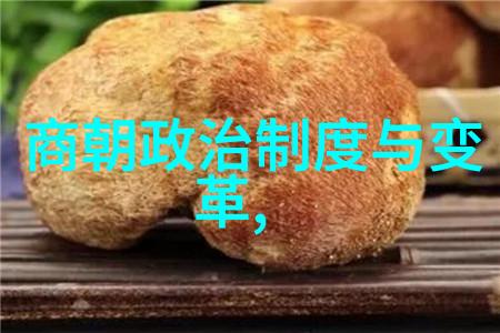 孝昭帝的琦玉光芒