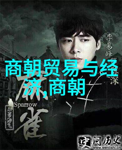 辉煌与荣耀明朝十大著名战争的征途