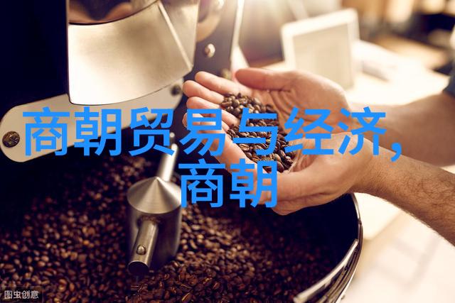 皇家阴谋康熙之死与雍正的复仇
