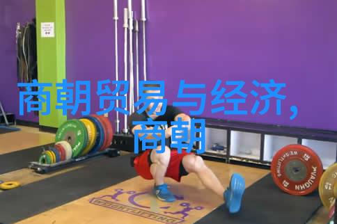 明朝的盛世 - 明光辉繁荣与和平的黄金时代