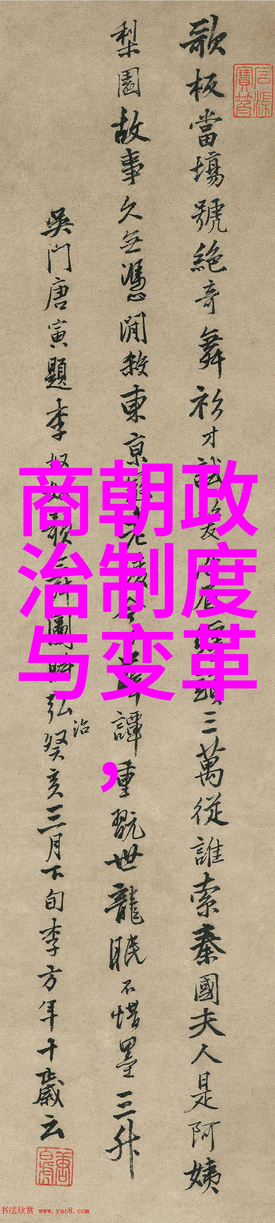 一边做饭一边躁狂怎么办电影我在厨房里发疯如何平息内心的暴风雨