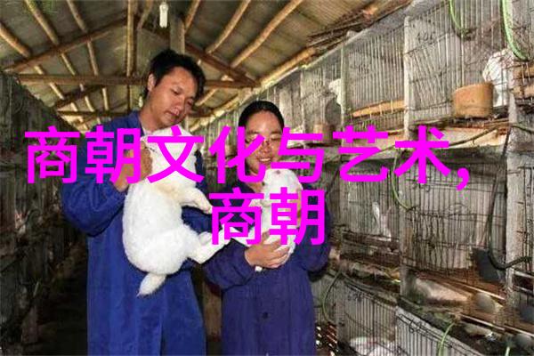 大元元朝时期对国家的称呼探究