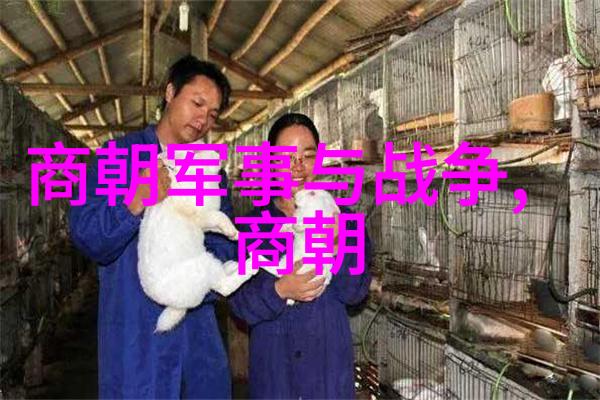 穿越时空的历史之旅中国朝代顺序时间表的秘密