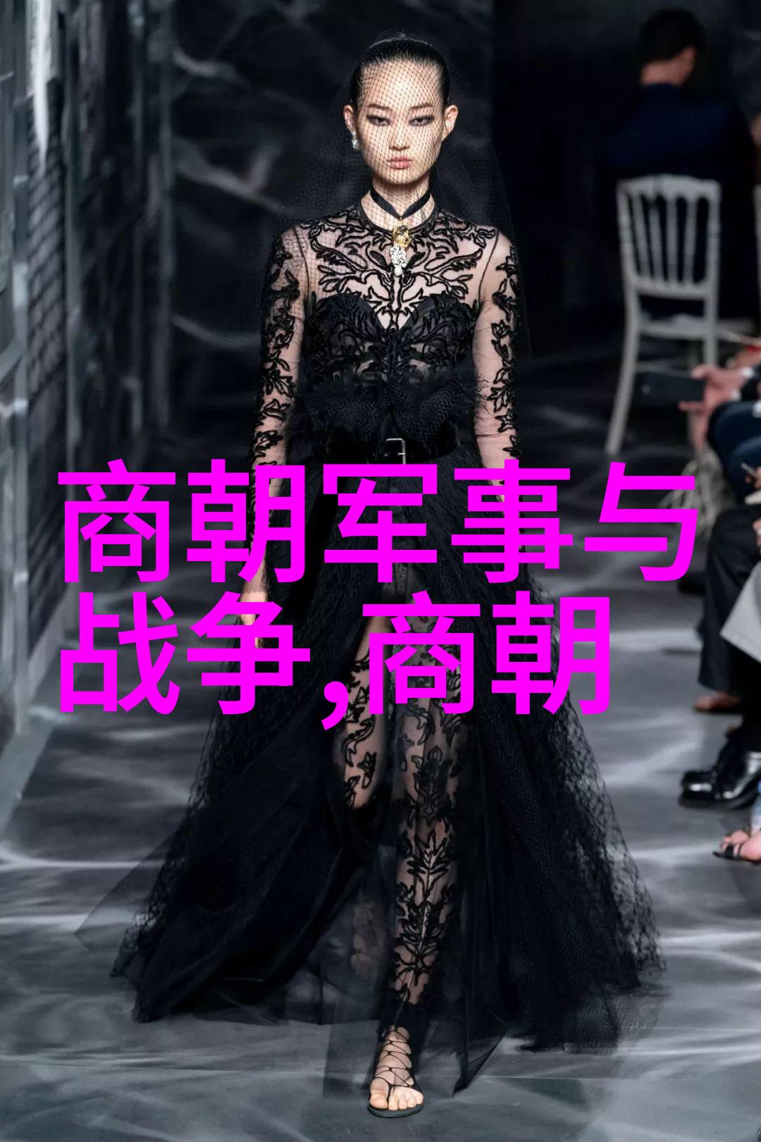 明朝那些事龙凤呈祥的锦绣梦想