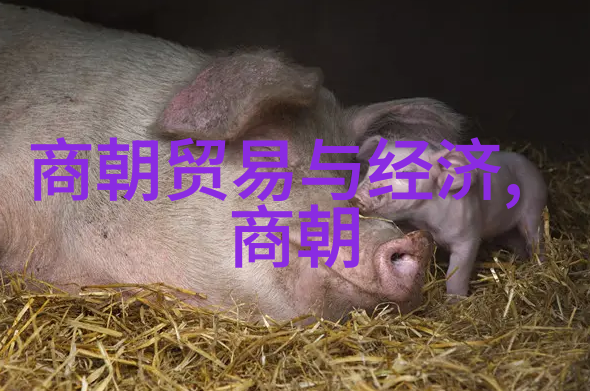 传统小故事简短我亲眼见过的那段古老传奇