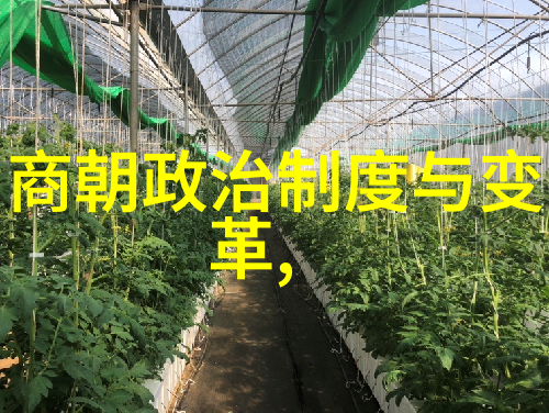 历史上最不该灭亡的朝代 - 时光之轮追忆那些被遗忘的辉煌