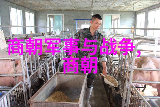为啥朱祁镇叫大明战神咱们来聊聊这位大明帝国的英雄人物