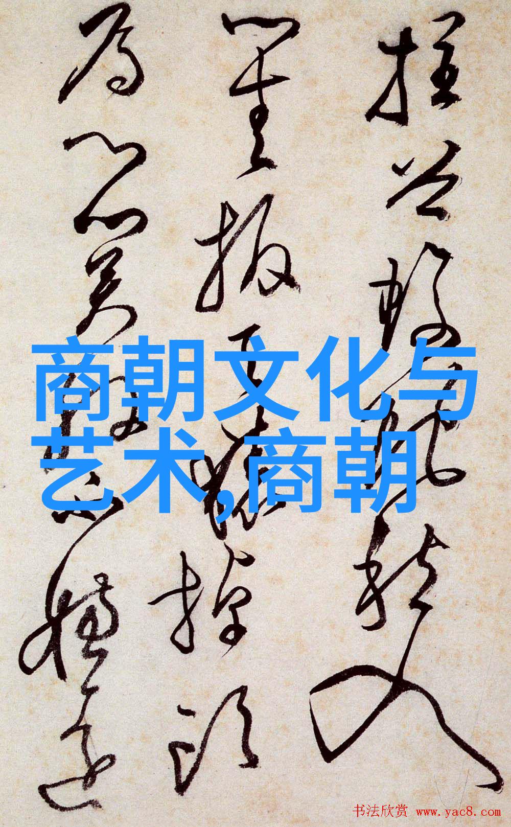 跳跃的极致上课时打开最大限度的探索