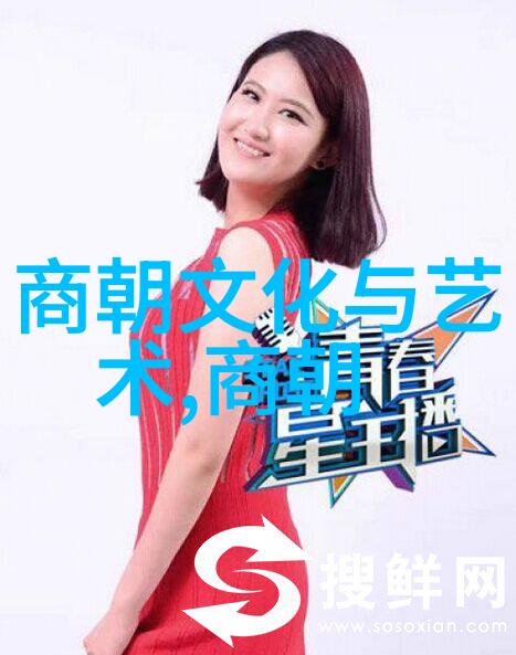 明朝政治制度大全从中央到地方的运作机制