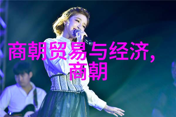 从历史角度看元朝辽是否应该被视为一个单一且完整的事实体