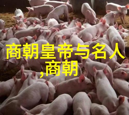 2013年十一黄梅戏展演周文旅结合成亮点探索黄梅戏发源地的自然韵味