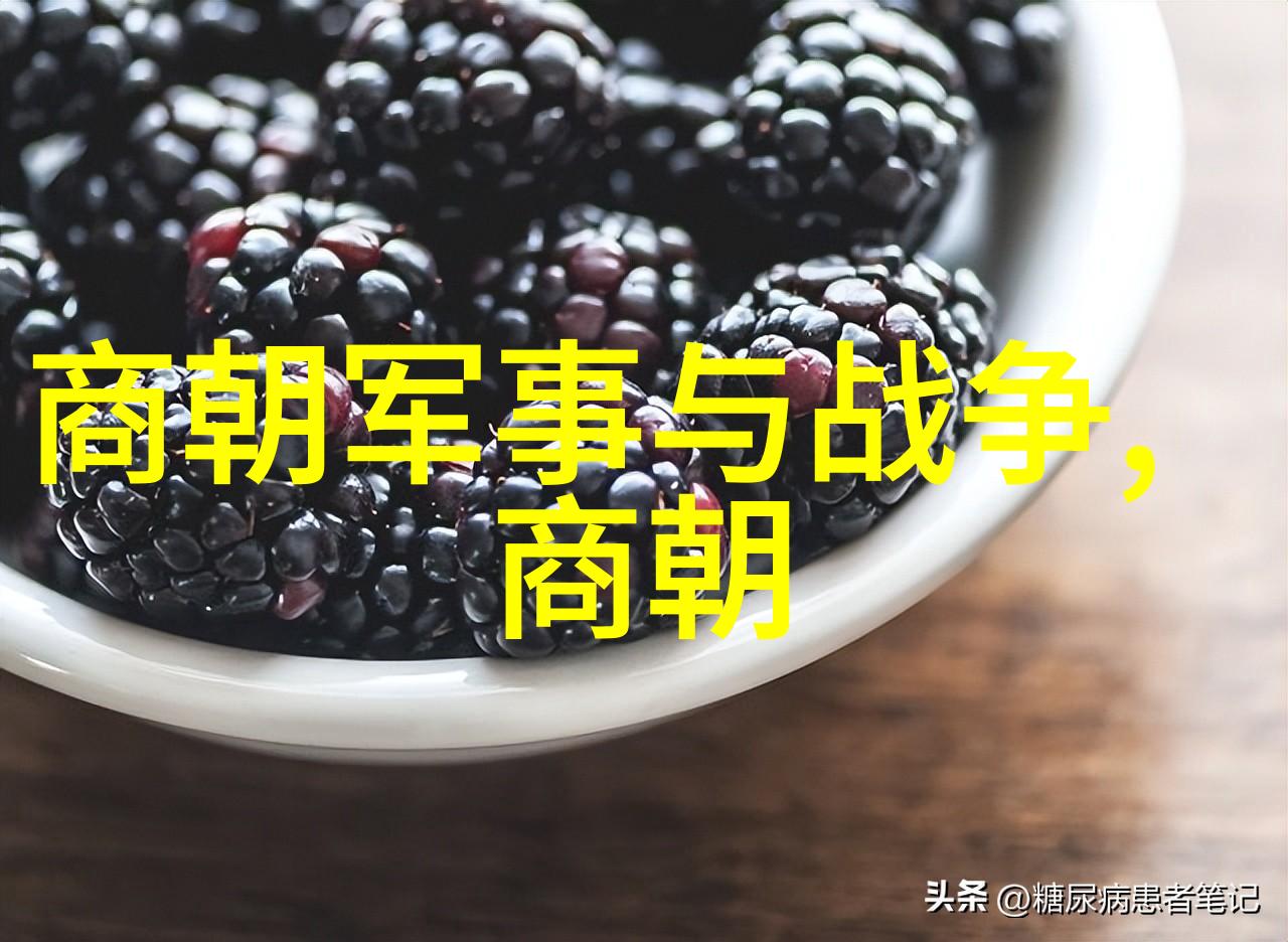 明朝那些事儿百度云下的历史风云