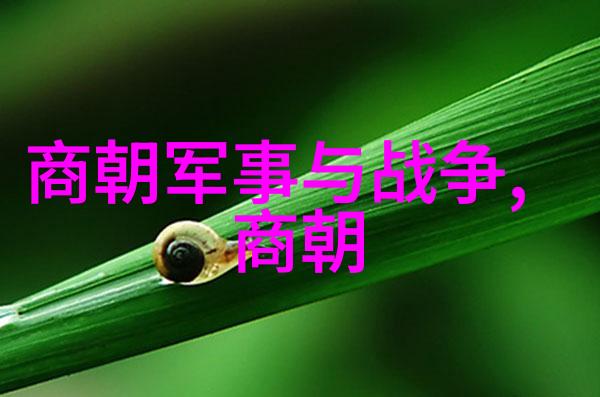 明英宗凭什么叫英宗-英宗之谜探索明代帝位的合法性与权力斗争