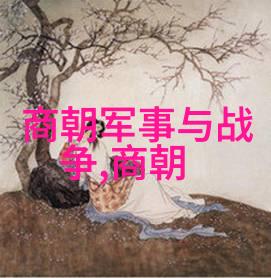 明朝著名官员王阳明