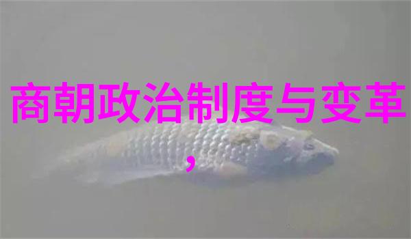 追溯历史足迹土木堡之战的遗址寻踪