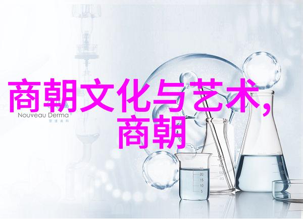 清朝历史速览帝王辉煌与民间故事