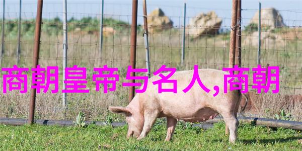 夜幕下的守护者男孩子心中的那份安全与梦想