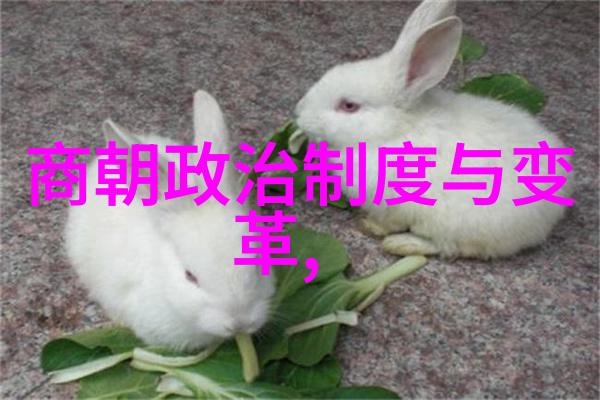 土鳖与海龟一次不寻常的邂逅