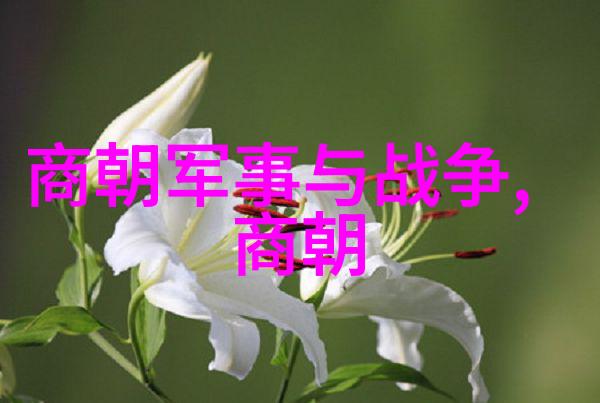 千秋长河穿越时空的历史纹章