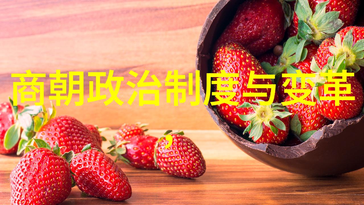 明朝的鼎盛时期及其对后世政治制度的塑造