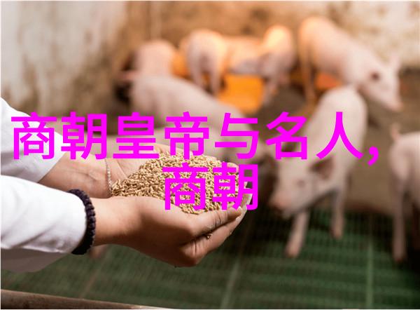 明朝那些事儿石悦免费阅读-回忆中的江湖石悦的明朝奇遇