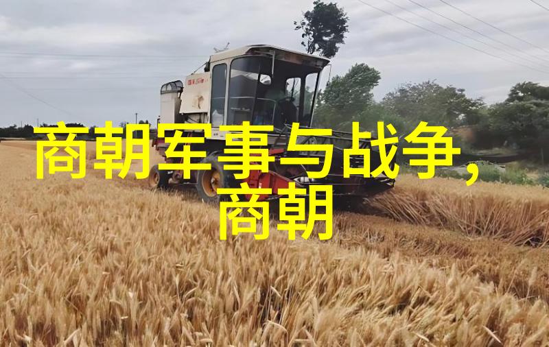 明朝家族谱与关系图的探究