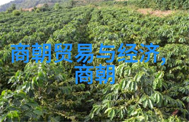 中国历史文化探索古代文明传统节日儒家思想四大发明