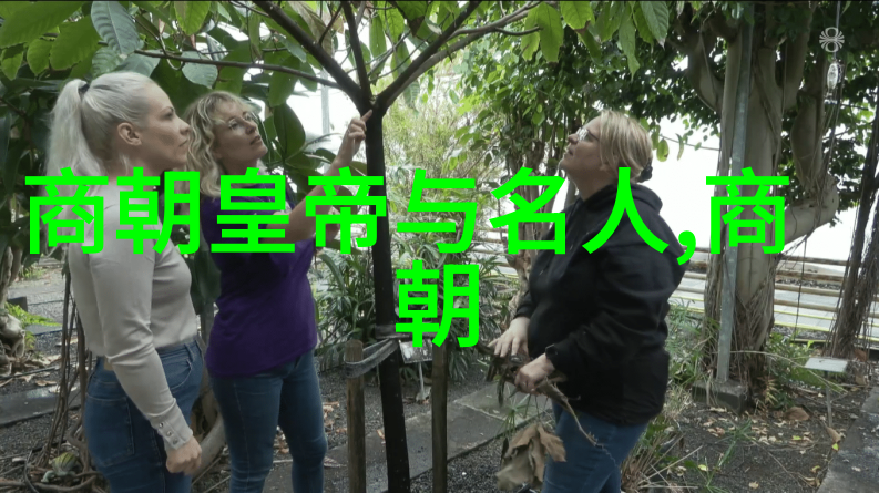 明朝时期发生了哪些重要的历史事件