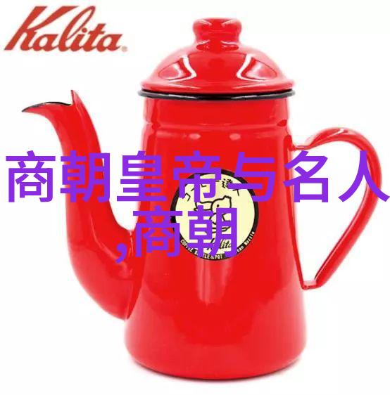 明朝风华与末日挣扎一代帝王一代匠人