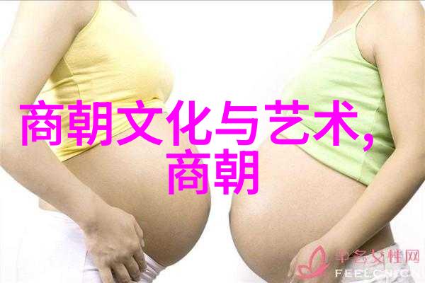 明朝那些事儿 三藩之乱及其对清初统治稳固影响