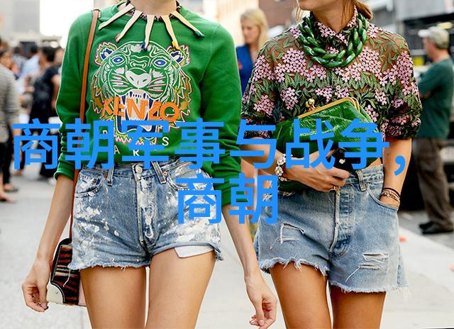 明朝历史探究解锁时光的奥秘