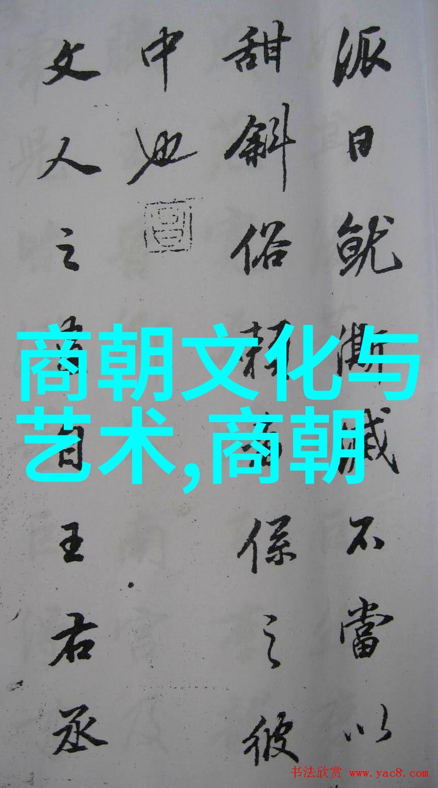 陈飞的国学经典手抄报之旅