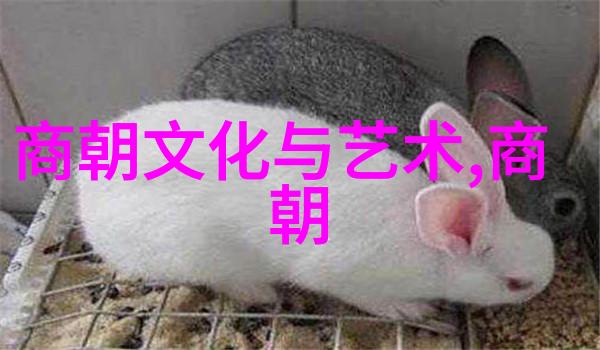 2021年袁姓女孩如同稀世珍宝中的明珠名字阿合马犹如流萤闪耀于夜空