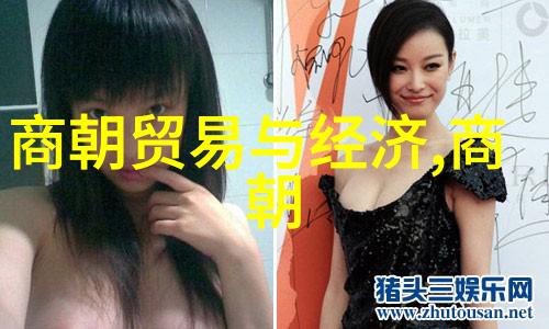 不容错过揭开国家兴衰背后的神秘面纱  分析中国历史简表图