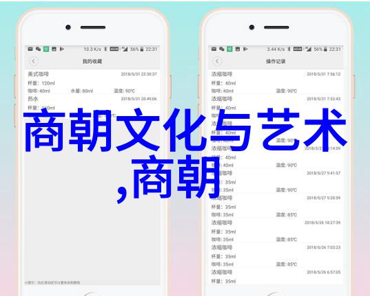 明朝历史探秘选读经典的书籍指南