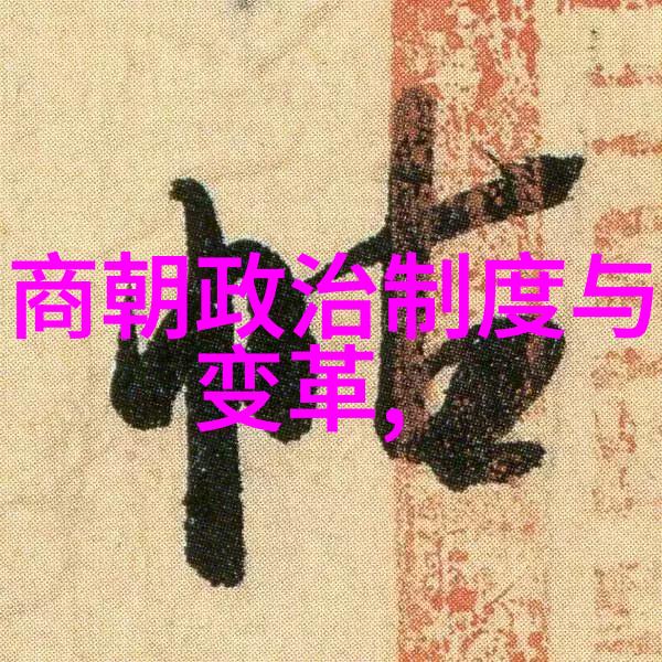 用笔自W的视频我是如何一不小心成为网络红人