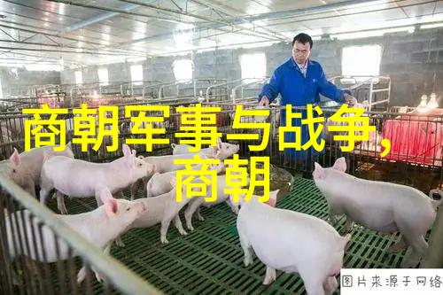 脱脱的宦途从草原到朝堂笑傲乾坤