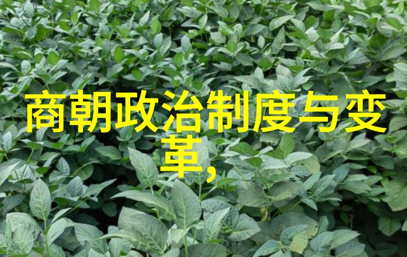 中国历代皇权的光芒芈戎秦朝的坚实基石公元前262年