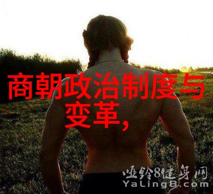 小松鼠的智慧果实