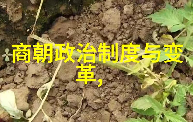 中国历史朝代顺序口诀记忆24个朝代的顺序