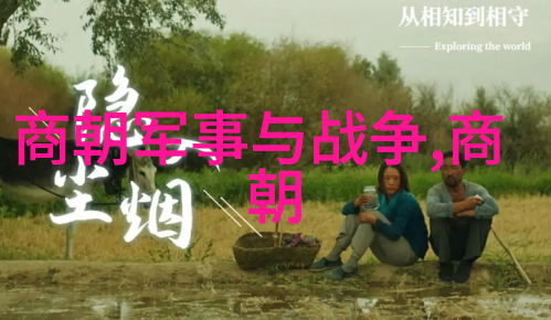 元朝的兴衰与成就从忽必烈到元末的历史回顾