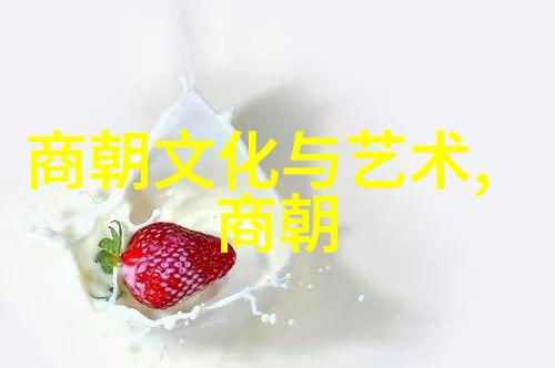 元朝的兴衰与辉煌重构历史的基本线索
