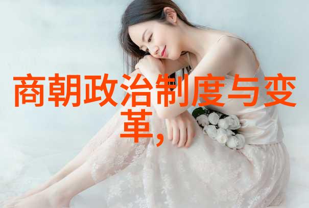 北宋英雄录铁血将军与智谋大将