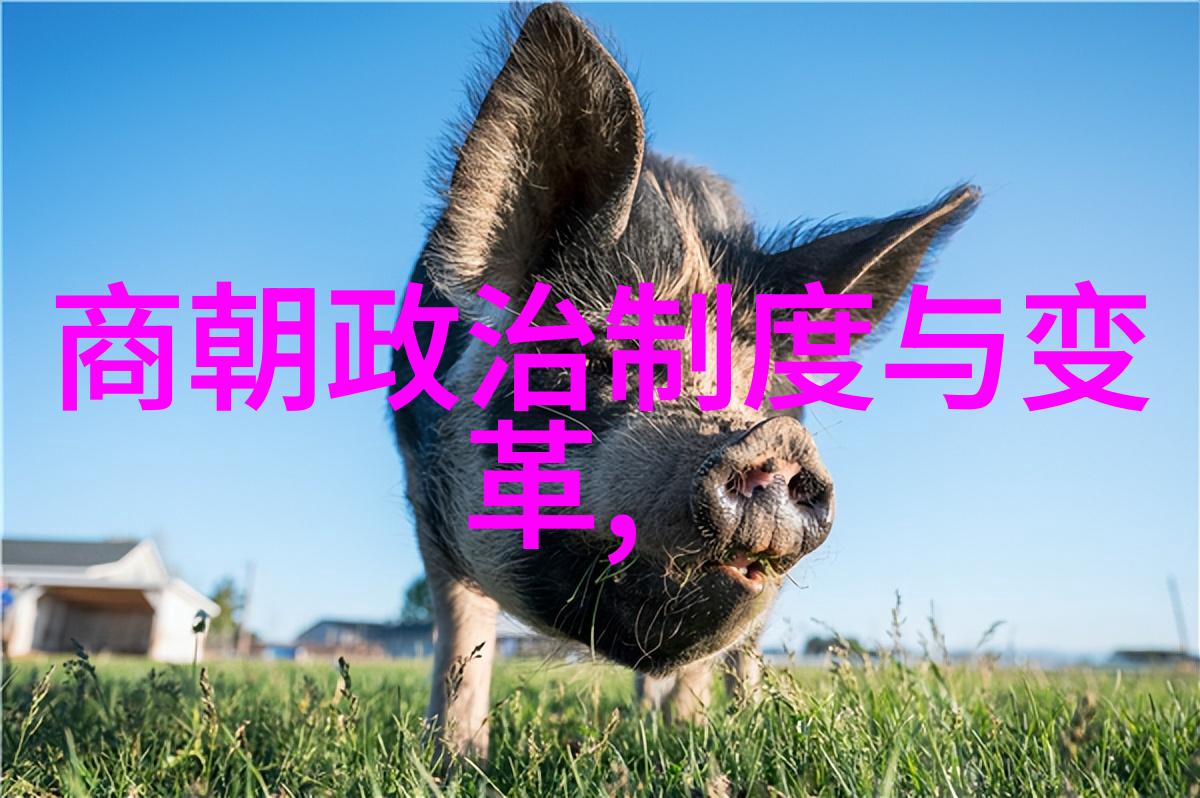 中国王朝演绎龙腾四海的辉煌篇章