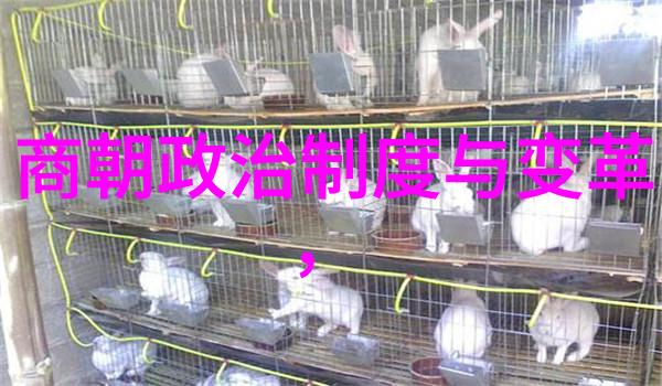 软刺玫瑰by刃心抒情音乐的柔韧与尖锐