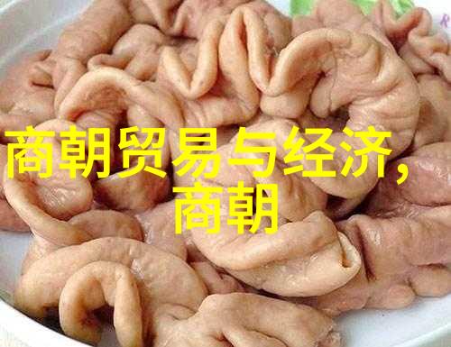 温暖的仁心朱元璋与元朝的故事