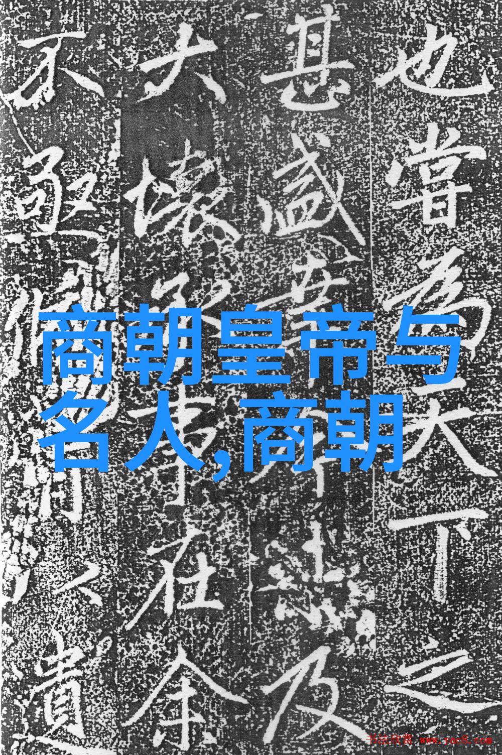 正史中为什么没有记载辽金的繁荣与发展